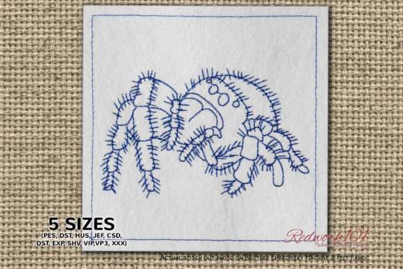 Review: Close Up Jumping Spiders Redwork