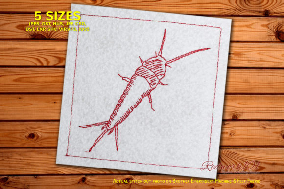 Reviewing Common Apterygota for Boutique Sweatshirts
