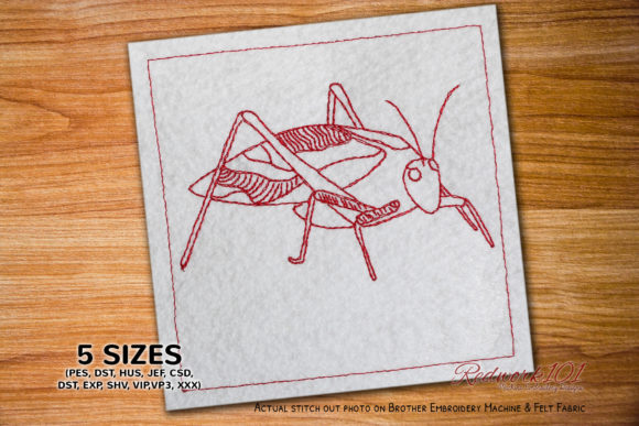 Reviewing Tettigoniidae Grasshopper Redwork